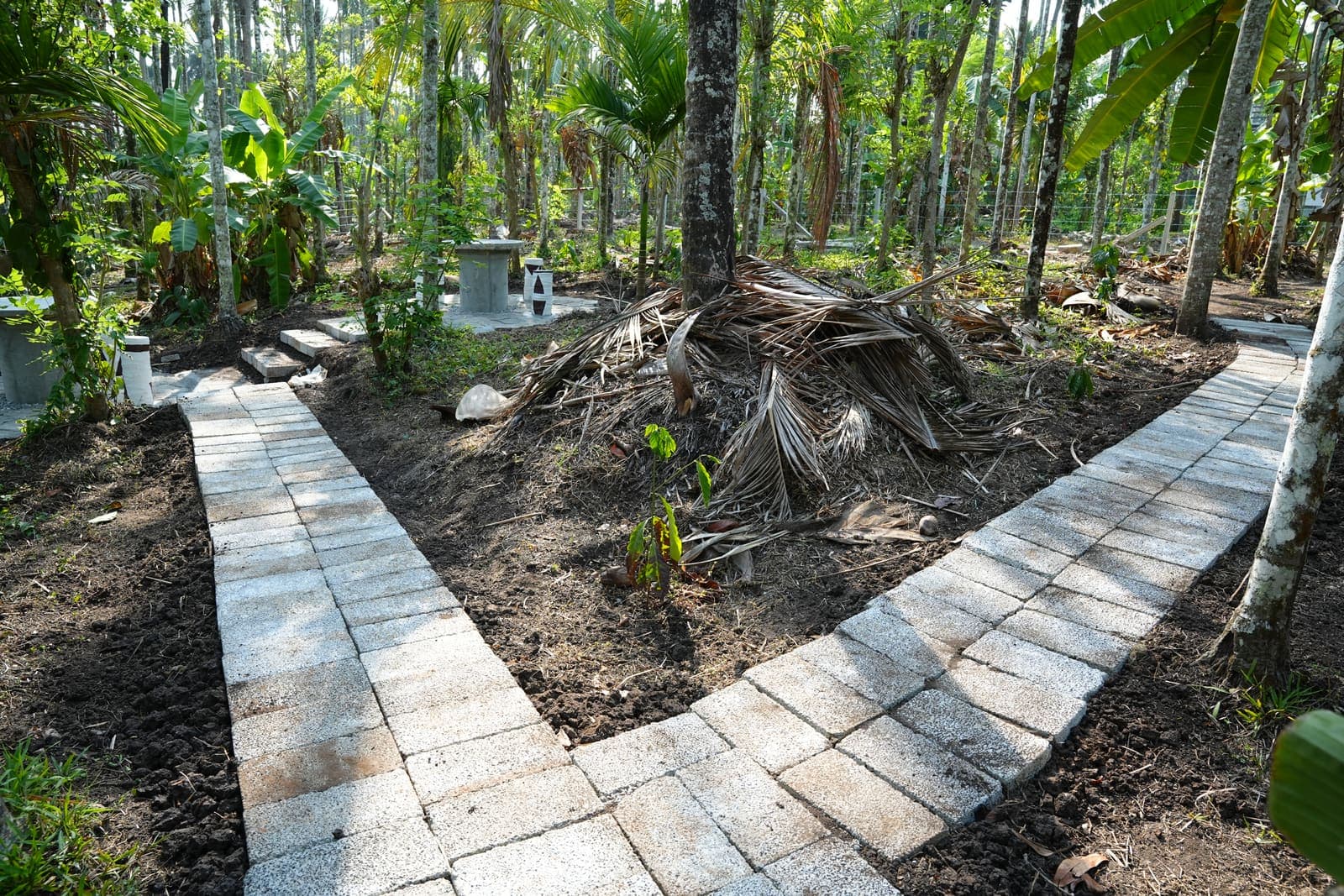 Palm Tree Stone Path — Kaivalyam Homestay, Padichira, Wayanad