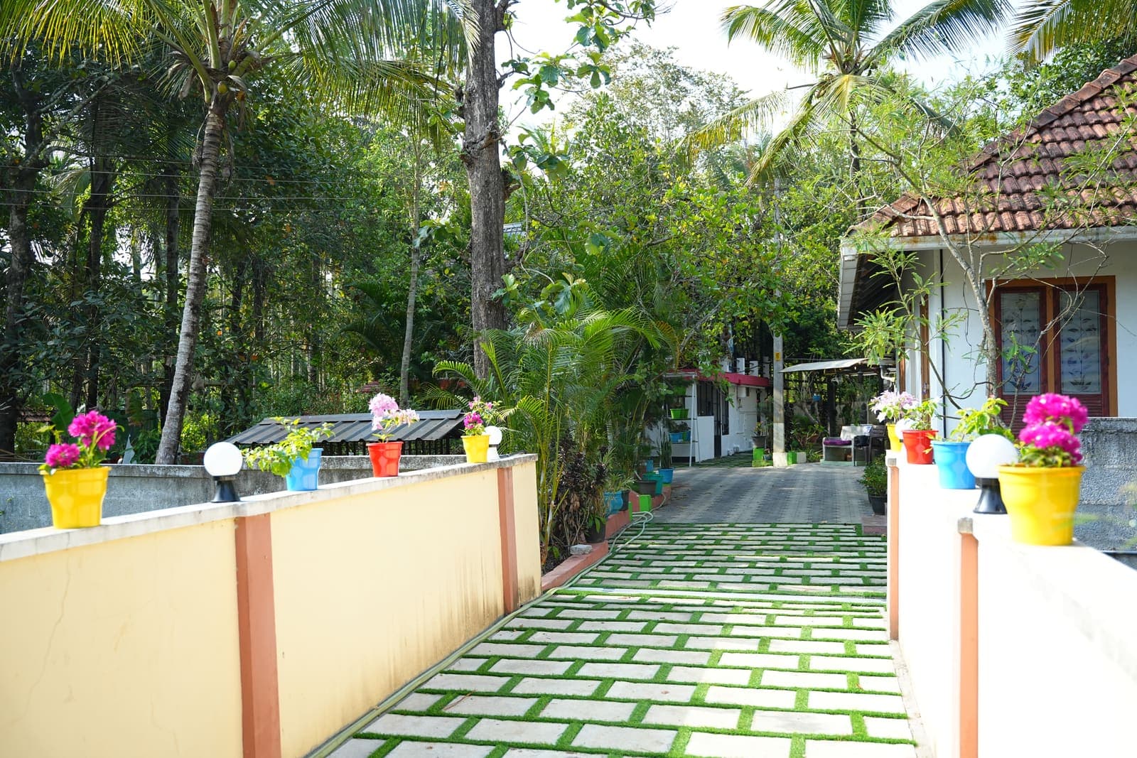 Sunlit Garden Pathway — Kaivalyam Homestay, Padichira, Wayanad