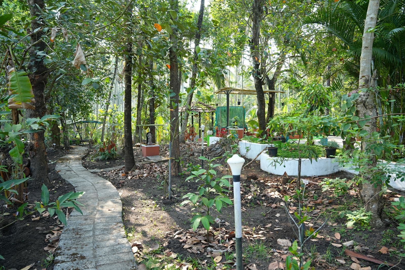 Tropical Canopy Path — Kaivalyam Homestay, Padichira, Wayanad