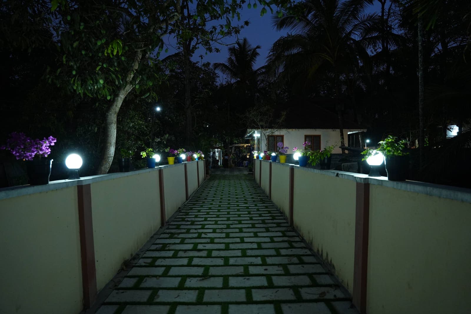 Lit Pathway Serene — Kaivalyam Homestay, Padichira, Wayanad