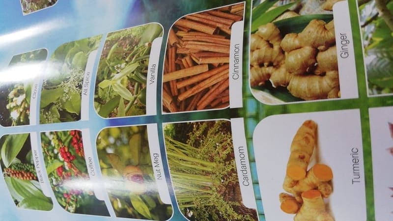 Banasura Spices Garden — Historic Sites & Gardens near Kaivalyam Homestay, Wayanad