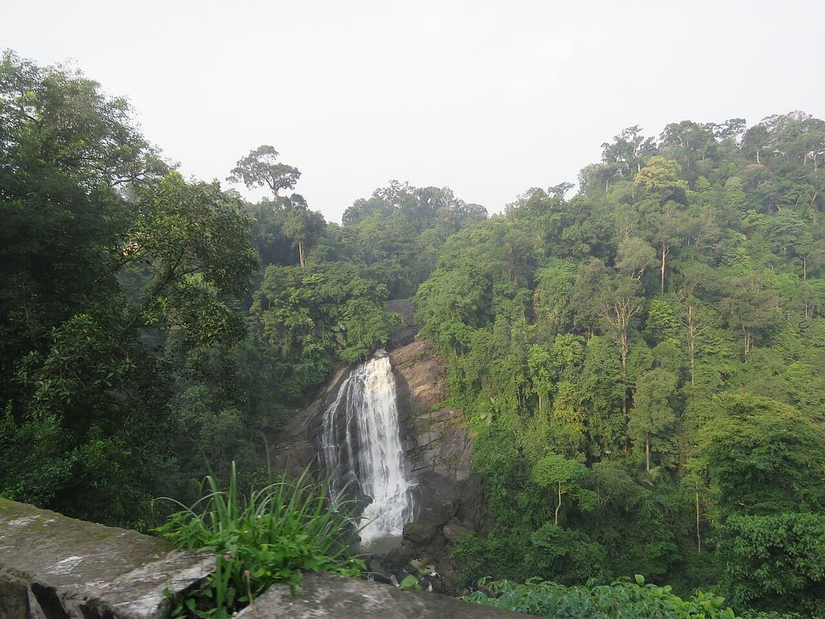 Chethalayam Falls — Waterfalls & Lookouts near Kaivalyam Homestay, Wayanad