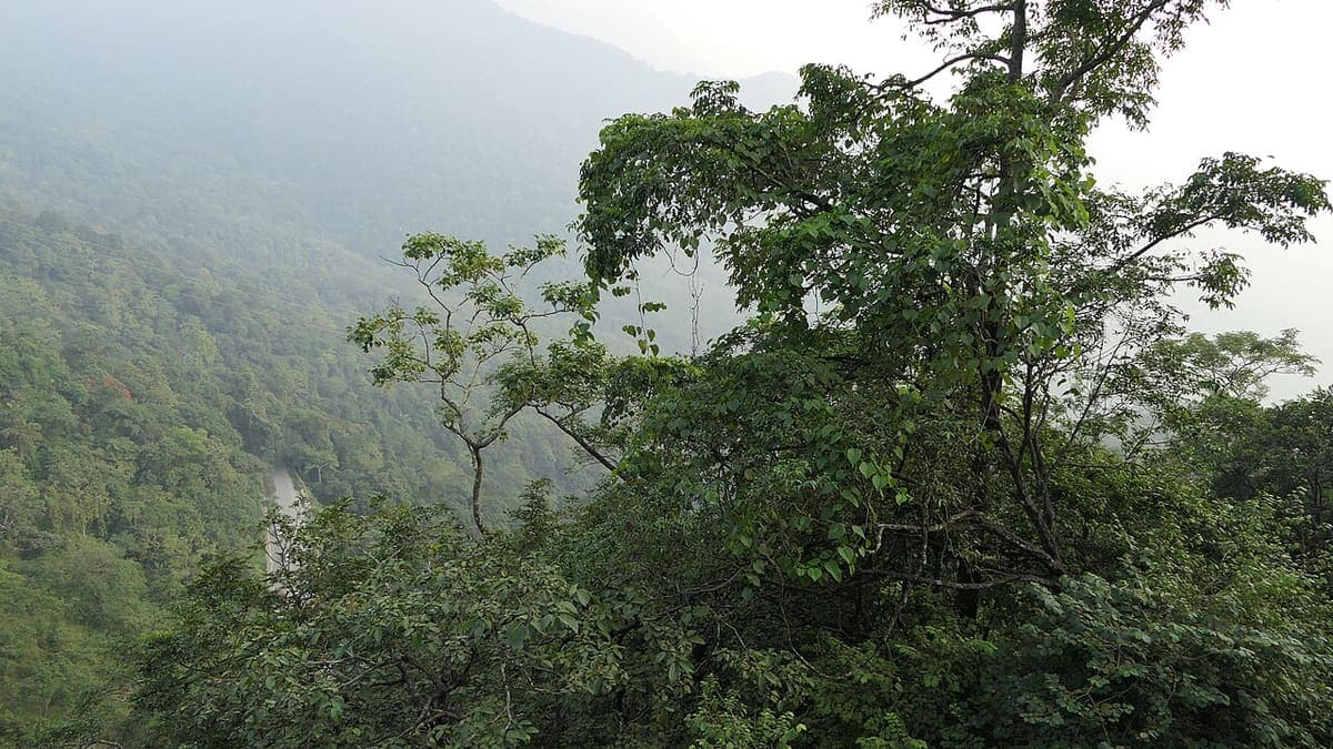 Lakkidi Viewpoint — Waterfalls & Lookouts near Kaivalyam Homestay, Wayanad