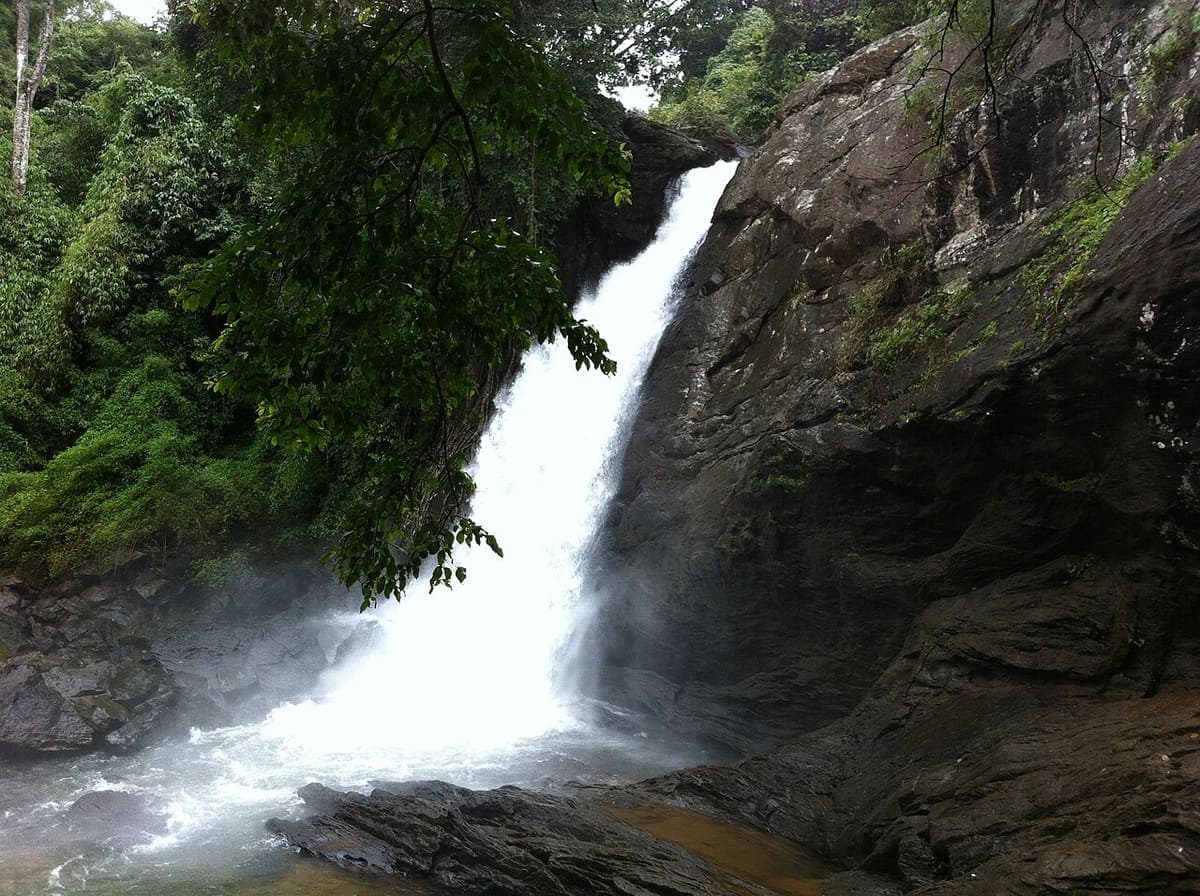 Soochipara Falls — Waterfalls & Lookouts near Kaivalyam Homestay, Wayanad