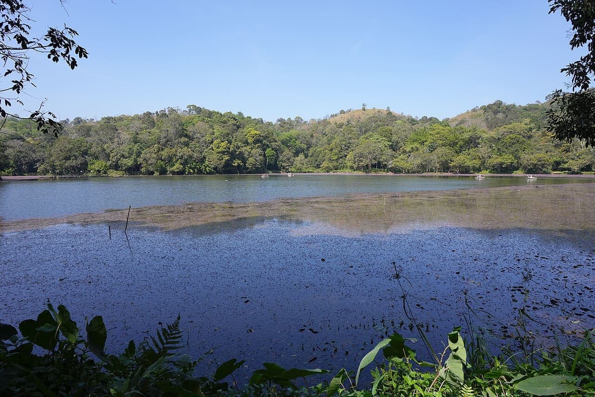 Pookode Lake — Bodies of Water near Kaivalyam Homestay, Wayanad